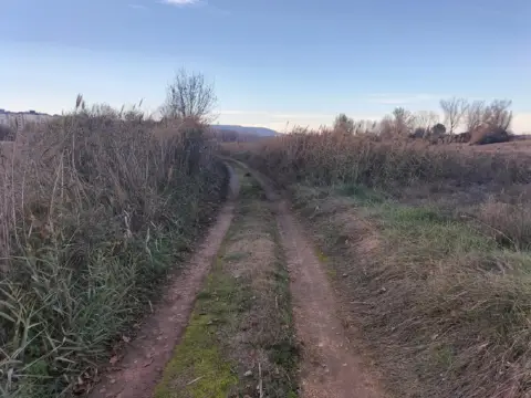 Finca rústica en Villamuriel de Cerrato